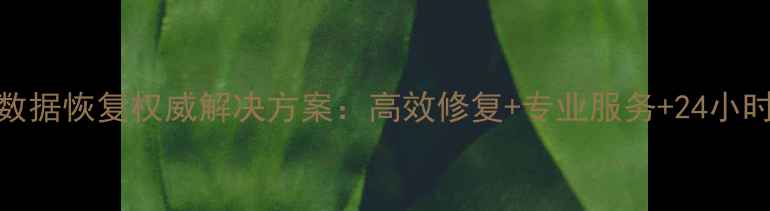 图片 温州税务数据恢复权威解决方案：高效修复+专业服务+24小时应急响应