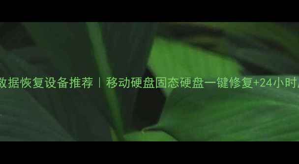 图片 湖州专业数据恢复设备推荐｜移动硬盘固态硬盘一键修复+24小时应急服务1