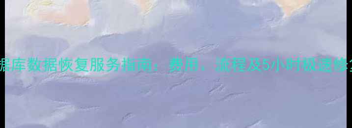 图片 滁州数据库数据恢复服务指南：费用、流程及5小时极速修复方案2