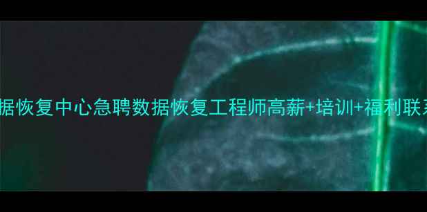 图片 滨州市数据恢复中心急聘数据恢复工程师高薪+培训+福利联系电话：X