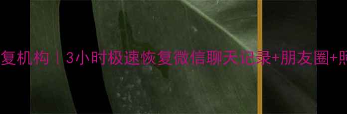 图片 潍坊专业微信数据恢复机构｜3小时极速恢复微信聊天记录+朋友圈+照片（附真实案例）2