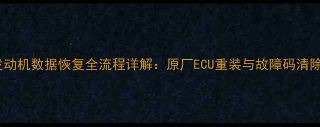 潍柴发动机数据恢复全流程详解原厂ECU重装与故障码清除技巧