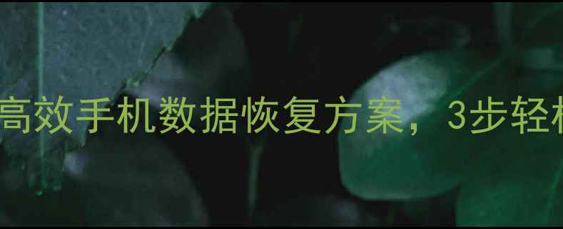 灵山数据恢复高效手机数据恢复方案3步轻松找回重要文件