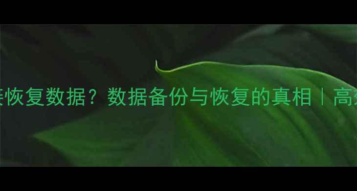 热备盘直接恢复数据数据备份与恢复的真相高效备份方案