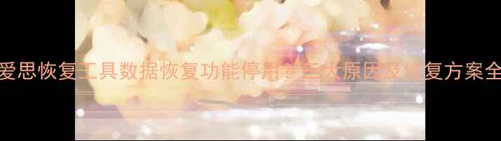 图片 爱思恢复工具数据恢复功能停用？三大原因及修复方案全