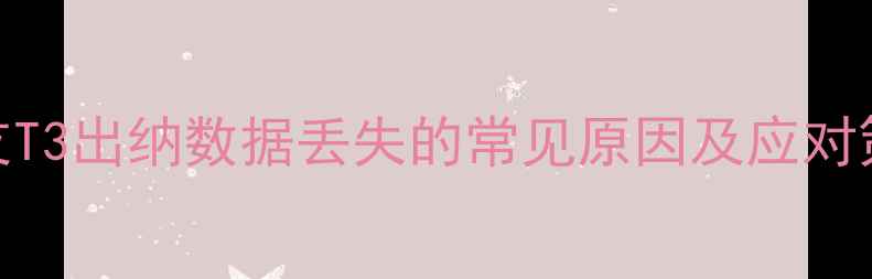 图片 用友T3出纳数据丢失的常见原因及应对策略