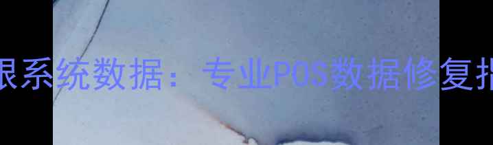 图片 电脑恢复收银系统数据：专业POS数据修复指南与操作全