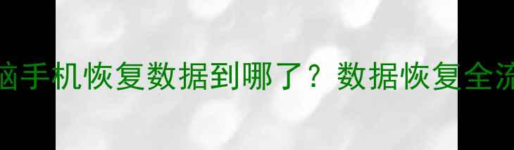图片 电脑手机恢复数据到哪了？数据恢复全流程