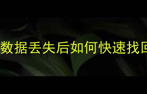 电脑手机文件恢复全攻略数据丢失后如何快速找回重要资料附实用步骤