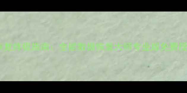 图片 电脑手机文件恢复终极指南：全能数据恢复大师专业版免费授权码领取攻略1