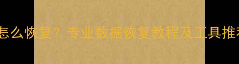 电脑拷贝数据丢失怎么恢复专业数据恢复教程及工具推荐附详细步骤