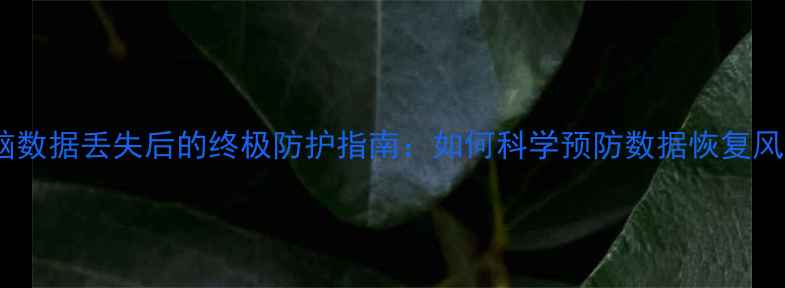 电脑数据丢失后的终极防护指南如何科学预防数据恢复风险