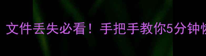 图片 电脑数据恢复保姆级教程｜文件丢失必看！手把手教你5分钟恢复电脑硬盘手机U盘数据2