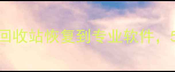 电脑数据恢复全攻略从回收站恢复到专业软件5种方法帮你找回丢失文件