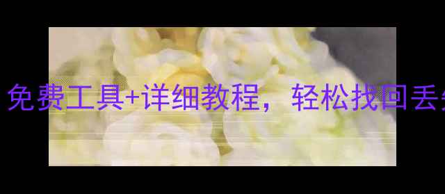 图片 电脑数据恢复全攻略：免费工具+详细教程，轻松找回丢失文件（附步骤图解）