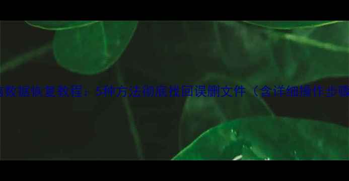 电脑数据恢复教程5种方法彻底找回误删文件含详细操作步骤