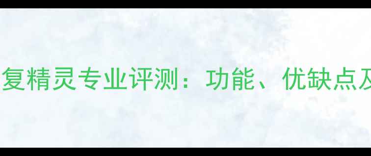 图片 电脑数据恢复精灵专业评测：功能、优缺点及如何选择1