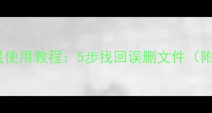 图片 电脑数据恢复精灵使用教程：5步找回误删文件（附常见问题解答）1