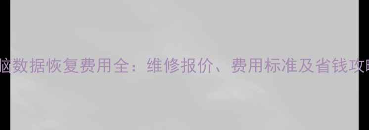 图片 电脑数据恢复费用全：维修报价、费用标准及省钱攻略1