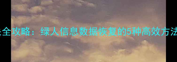 电脑文件丢失全攻略绿人信息数据恢复的5种高效方法与操作指南