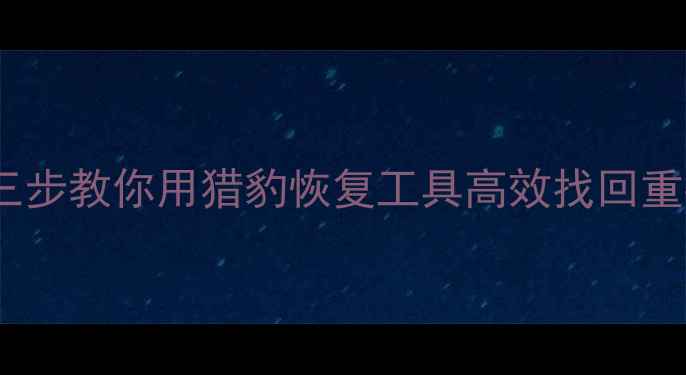 电脑文件丢失别慌张三步教你用猎豹恢复工具高效找回重要数据附详细教程