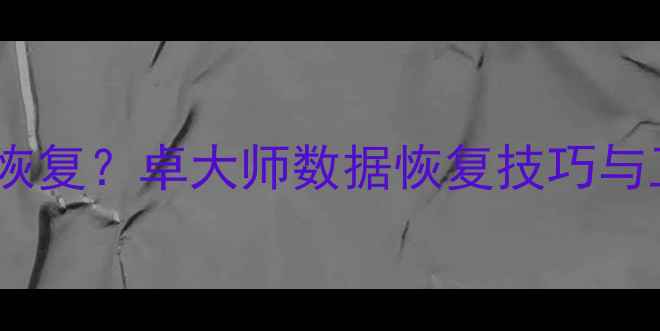 电脑文件丢失如何快速恢复卓大师数据恢复技巧与工具全附详细教程