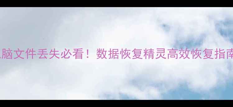 图片 电脑文件丢失必看！数据恢复精灵高效恢复指南2