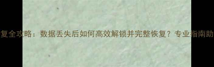 电脑文件恢复全攻略数据丢失后如何高效解锁并完整恢复专业指南助你轻松应对