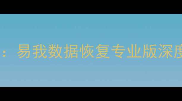 图片 电脑文件恢复技巧：易我数据恢复专业版深度测评与操作指南1
