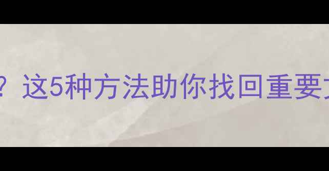 图片 电脑清除数据后无法恢复？这5种方法助你找回重要文件（附详细操作指南）1