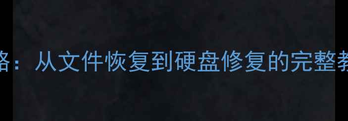 画世界数据丢失全攻略从文件恢复到硬盘修复的完整教程认证数据恢复专家