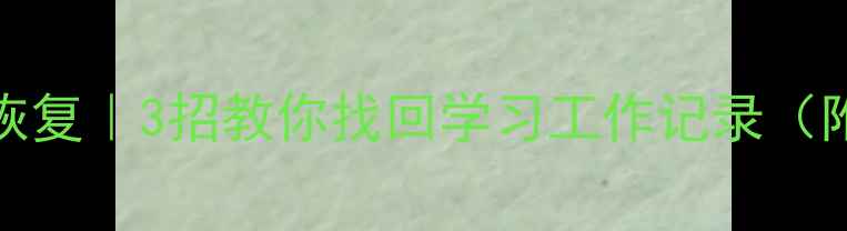 番茄Todo数据恢复3招教你找回学习工作记录附云备份攻略
