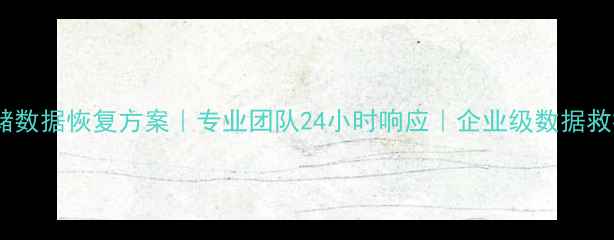盐城存储数据恢复方案专业团队24小时响应企业级数据救援指南