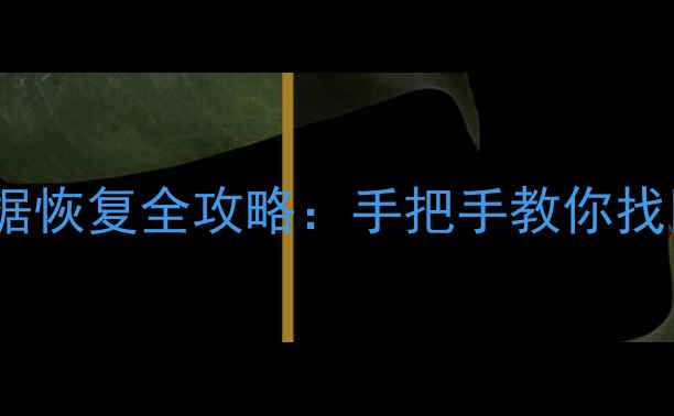 相机SD卡数据恢复全攻略手把手教你找回珍贵回忆