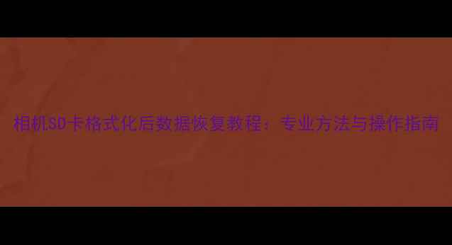 相机SD卡格式化后数据恢复教程专业方法与操作指南