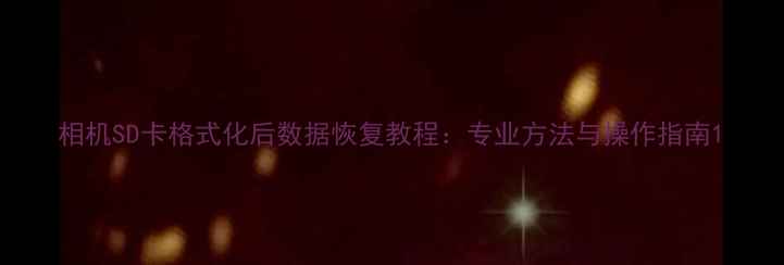 图片 相机SD卡格式化后数据恢复教程：专业方法与操作指南1