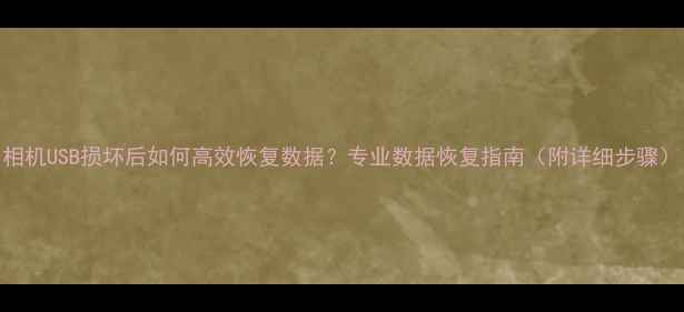 相机USB损坏后如何高效恢复数据专业数据恢复指南附详细步骤