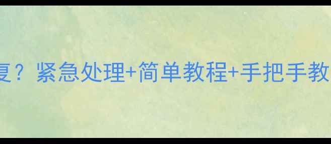 相机内存卡误删照片怎么恢复紧急处理简单教程手把手教学3分钟快速找回珍贵回忆