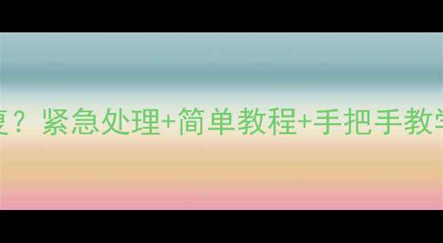 图片 相机内存卡误删照片怎么恢复？紧急处理+简单教程+手把手教学，3分钟快速找回珍贵回忆1