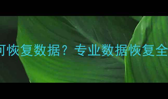 图片 相机存储卡损坏后如何恢复数据？专业数据恢复全攻略与应急处理指南2