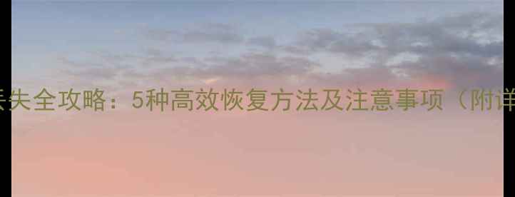 图片 相机数据丢失全攻略：5种高效恢复方法及注意事项（附详细教程）1