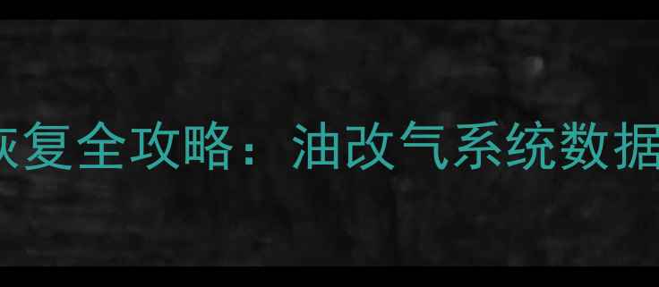 石油天然气行业数据恢复全攻略油改气系统数据迁移与故障修复技术