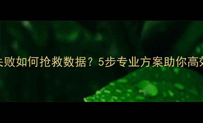 硬盘Ghost恢复失败如何抢救数据5步专业方案助你高效恢复丢失文件