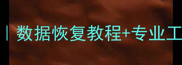 图片 硬盘全盘坏道必读指南｜数据恢复教程+专业工具推荐（附真实案例）