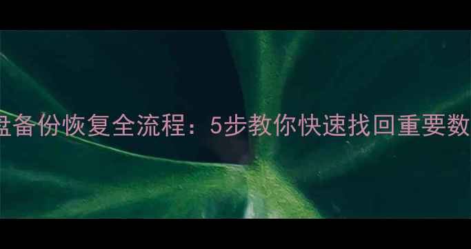 图片 硬盘备份恢复全流程：5步教你快速找回重要数据1