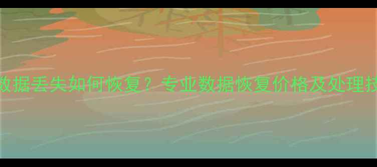 硬盘数据丢失如何恢复专业数据恢复价格及处理技巧全