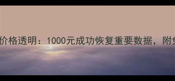 图片 硬盘数据恢复价格透明：1000元成功恢复重要数据，附免费检测指南1