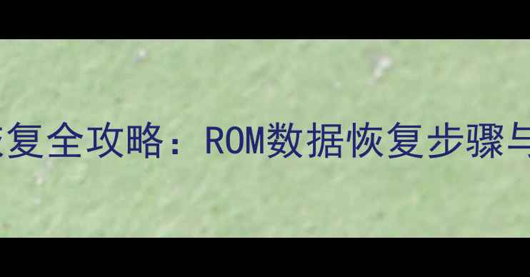 硬盘数据恢复全攻略ROM数据恢复步骤与实用技巧