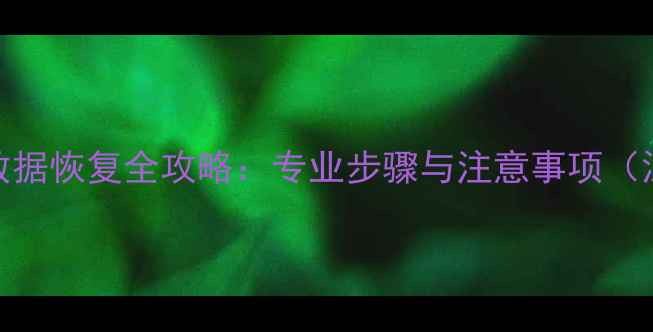 图片 硬盘数据恢复全攻略：专业步骤与注意事项（深度）