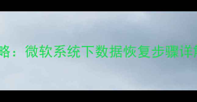 图片 硬盘数据恢复全攻略：微软系统下数据恢复步骤详解与专业工具推荐1